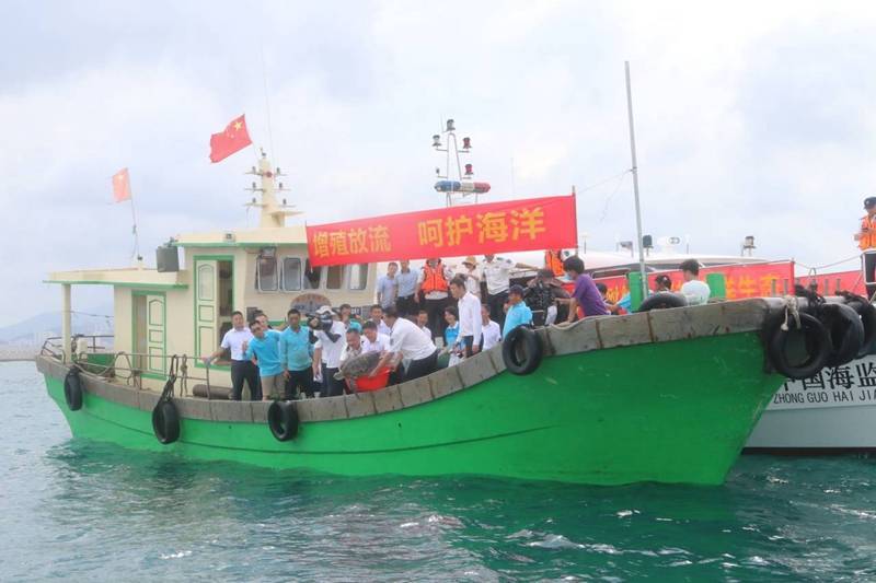 宣传日|三亚启动全国海洋宣传日活动 上百万尾鱼苗回归大海