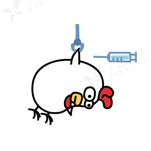 鸡头赛砒霜,鸡翅抗生素,鸡杂不健康?get吃鸡6大真相!