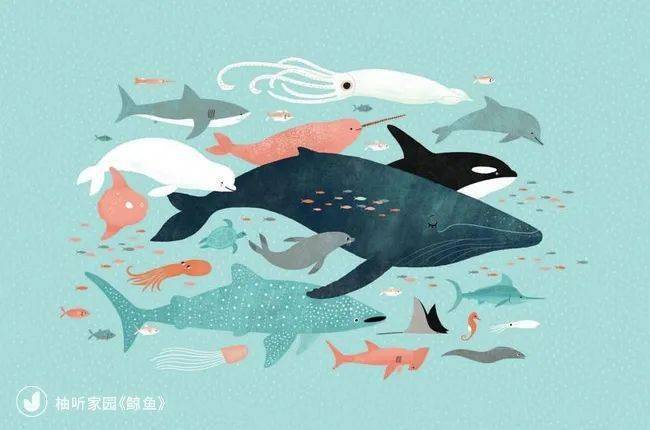 四只鸟儿天空飞猜成语_天空鸟儿飞的图片大全(2)