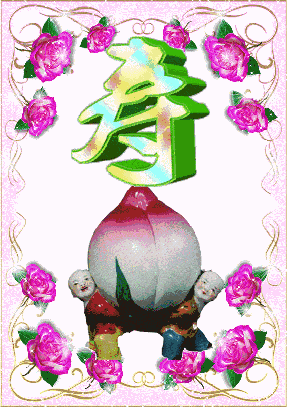 565_800 竖版 竖屏