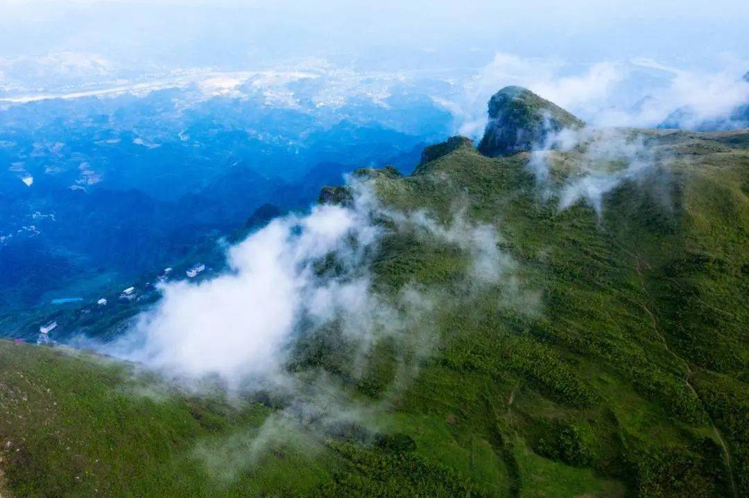 大美湖南 大美草原(五) | 龙山八面山草场——南方