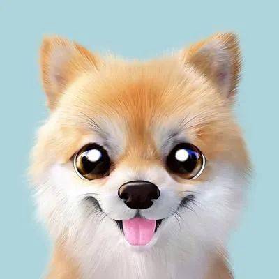 呆萌可爱猫咪宠物,大眼卡通喵星人汪星人