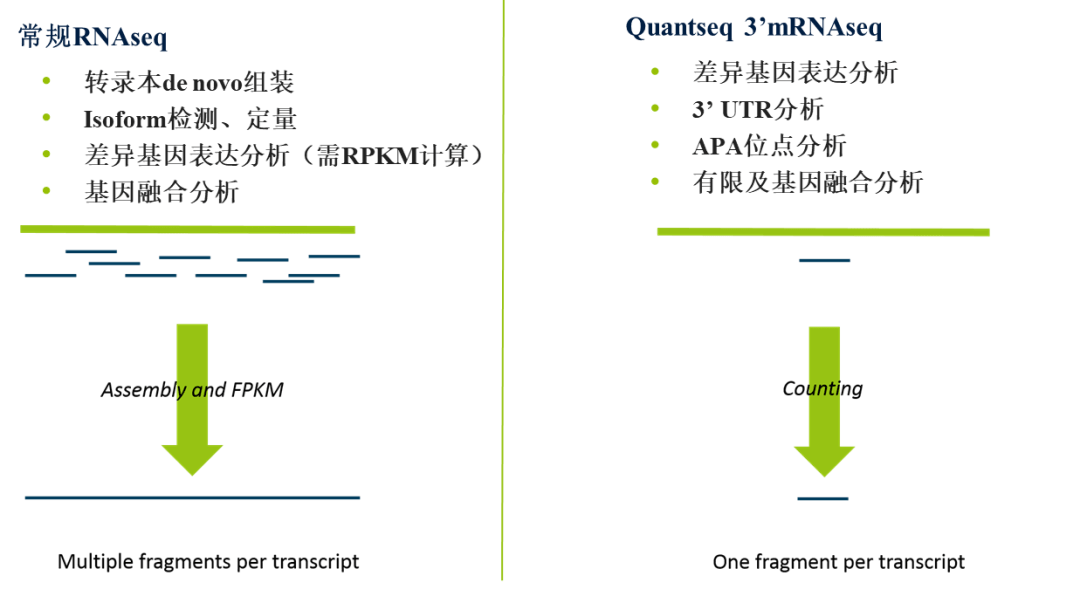 此外,由于常规rna-seq对整个转录本的序列进行打断后测序,其覆盖了