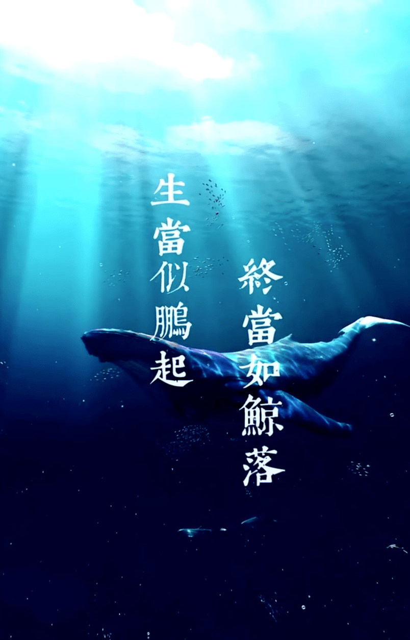 生当似鹏起终当如鲸落