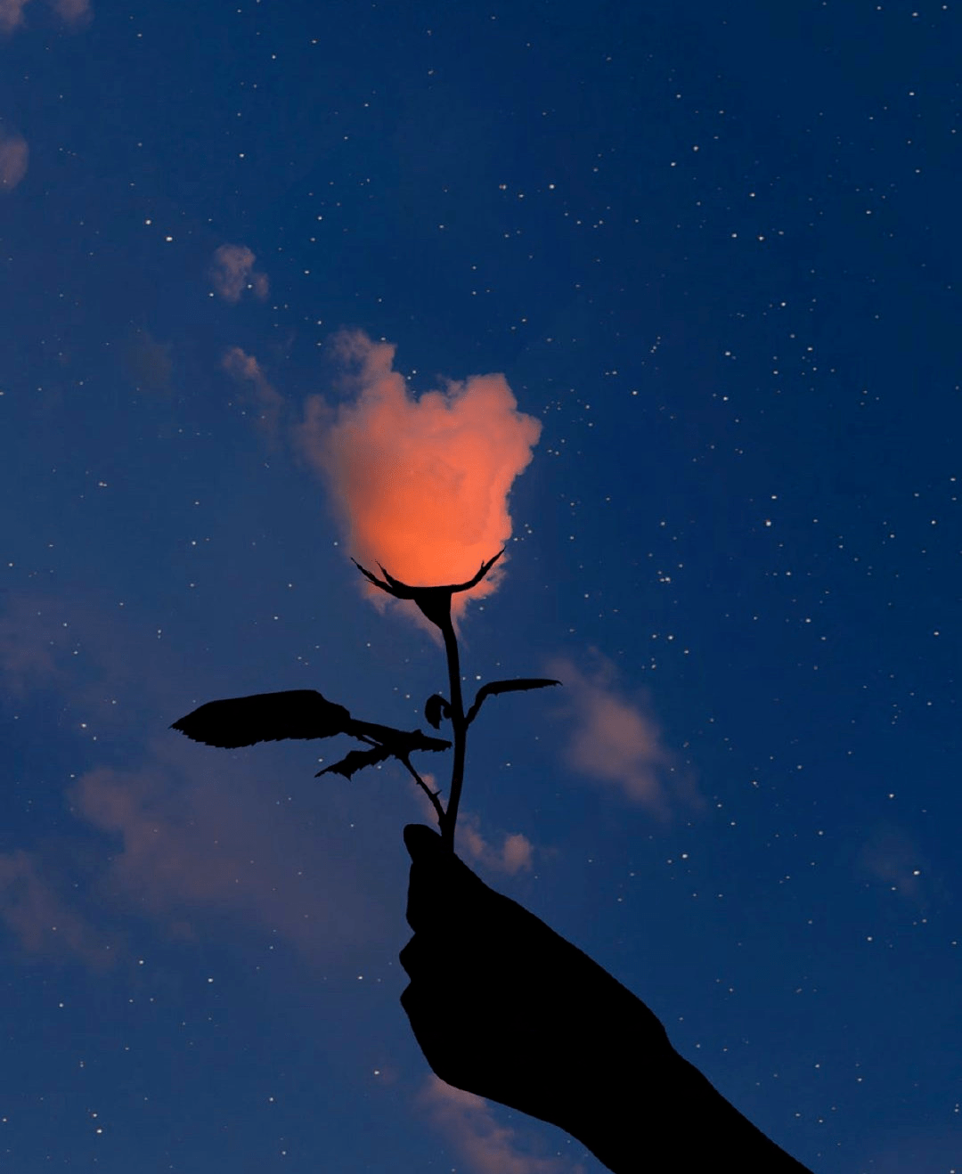 一日一言 l 夏夜有梦,梦中有你
