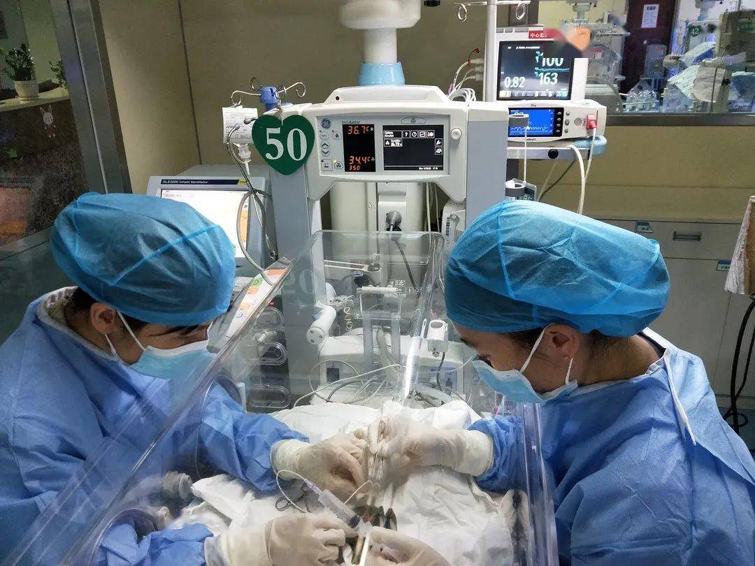 巴掌|惊心动魄！910克的玉林“巴掌宝宝”闯过鬼门关～