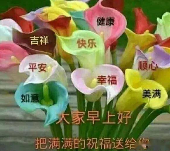 人可以不美丽,但要健康;人可以不伟大,但要快乐,早安