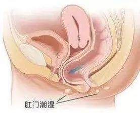大人口周湿疹_婴儿湿疹图片(2)
