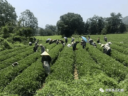凤翔县域经济总量_凤翔县城区10年规划图(3)