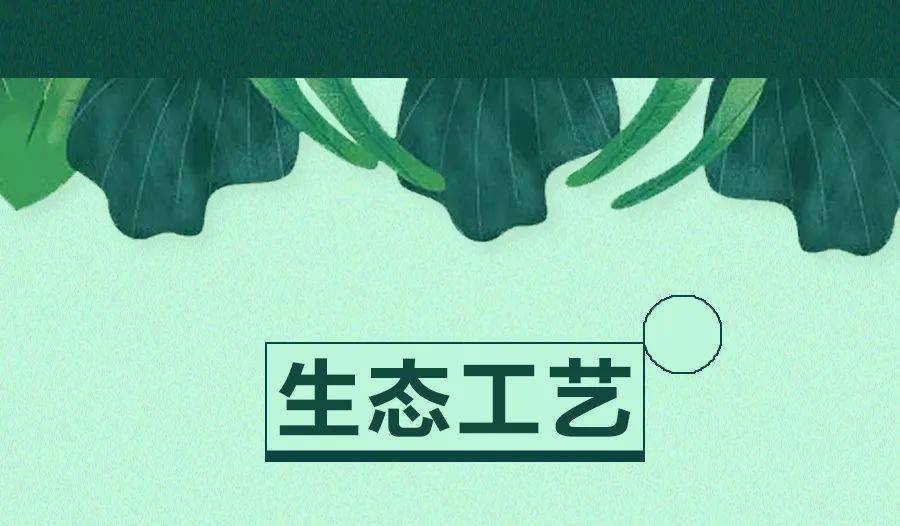 安莉芳 选择绿色生态内衣,持续健康美学