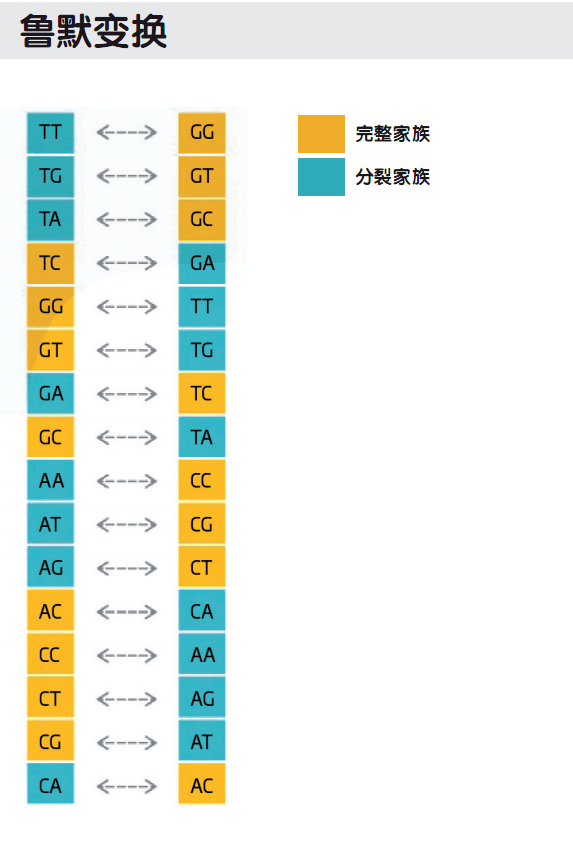 成语遗传什么码_成语故事简笔画