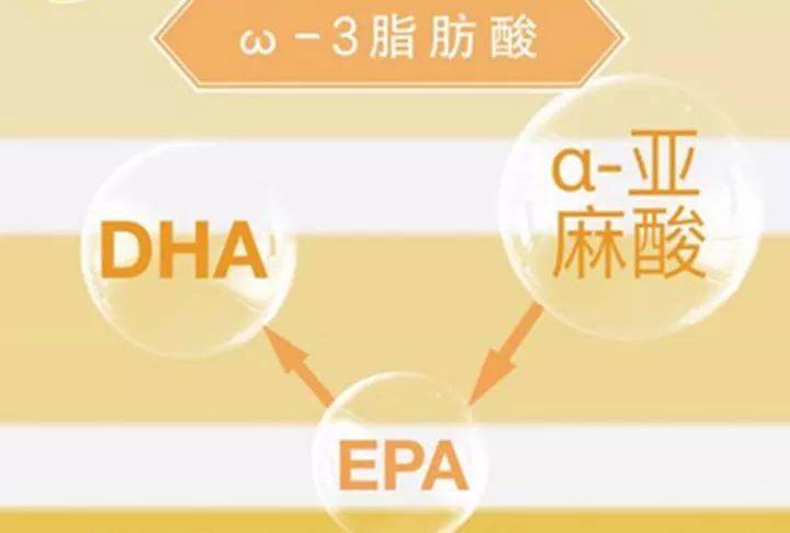 α亚麻酸为什么被称为人体健康之宝