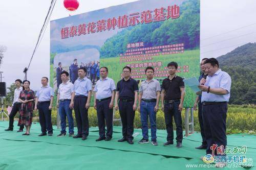 景德镇报道恒泰黄花菜种植示范基地在浮梁县蛟潭镇开园