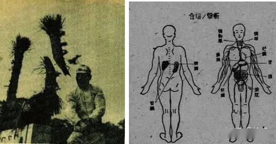什么戈一击成语_成语故事简笔画(2)