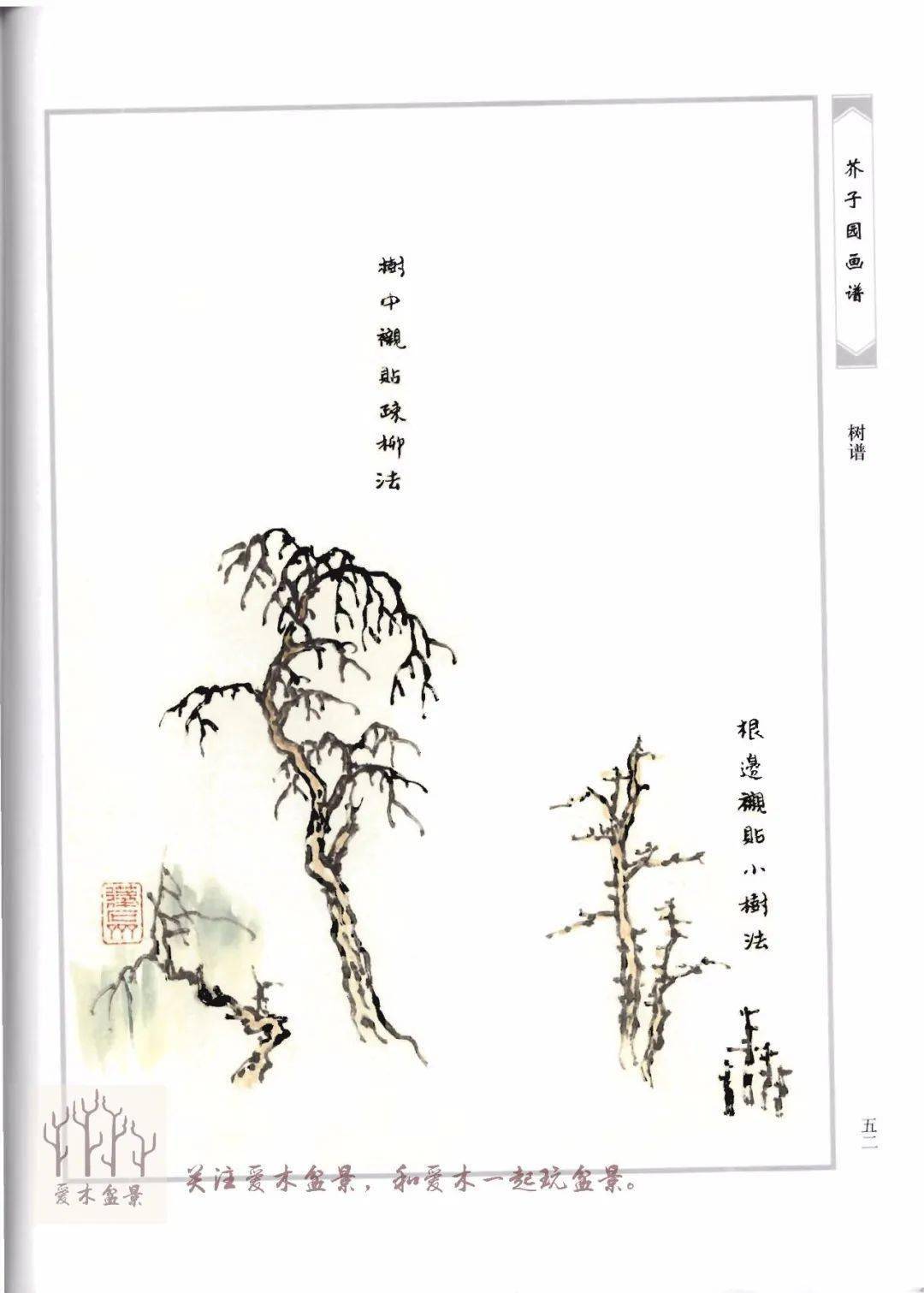 爱木盆景i《芥子园画谱-树谱》分享3,不同树势和树叶的画法