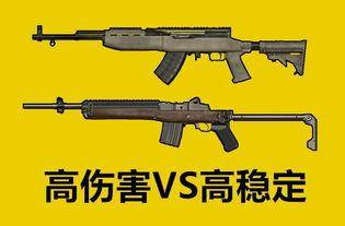 mini14和sks射手步枪