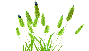 绿色报福,引领垃圾分类新时尚!