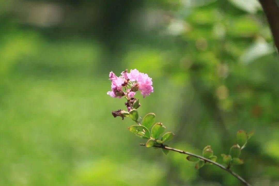 6c39a08c68d34d058d71fa367ab4467e.jpeg