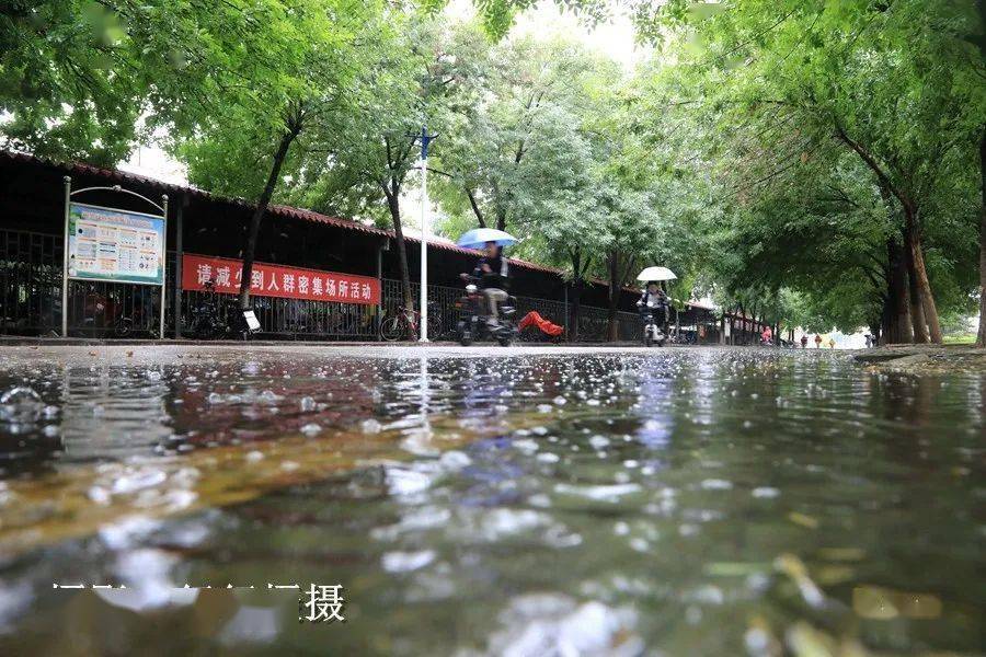 据【泗水县气象局】雨情信息:6月11日21时至12日09时,全县平均降水量