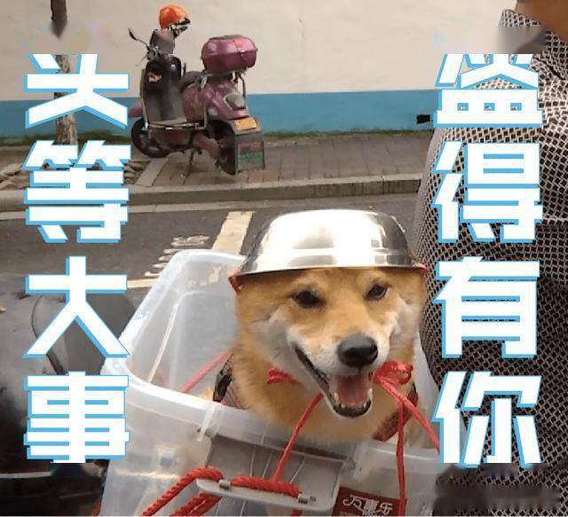 "表情包制
