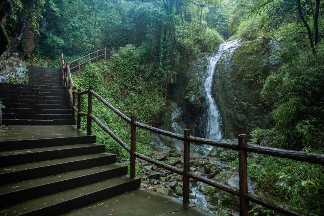 其实,在山的另一边,隐匿着一条清闲幽静却绝美的步道,它就是清水溪.