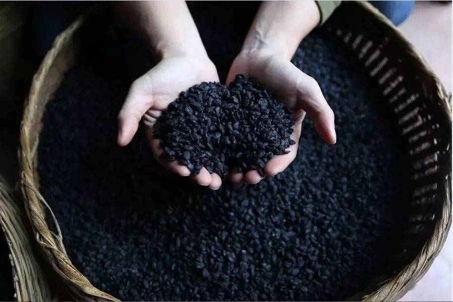 豆豉的功效与作用点 64840d9fb281483392476948c862c18b.jpeg