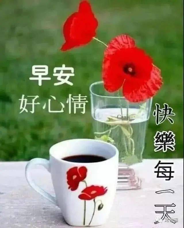 周六早上好慰问动态图片,温暖早安问候美图祝福语