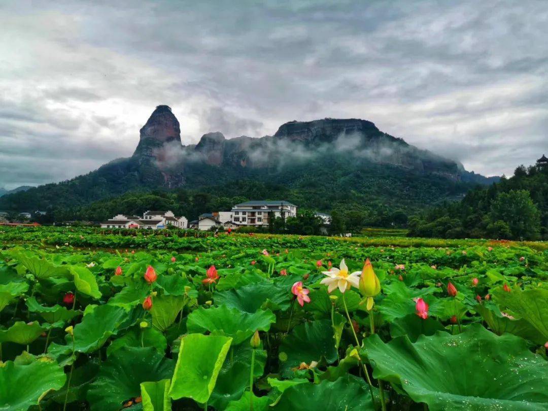 喜迎旅发大会美丽奇特通天寨景区等你来对这些人免门票