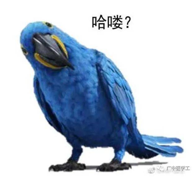 2f3caf196fd04761964a872a318cb18c.jpeg