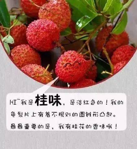 糯米糍荔枝多少钱一斤今年 336038f3241a4c789464388dc91d3293.jpeg