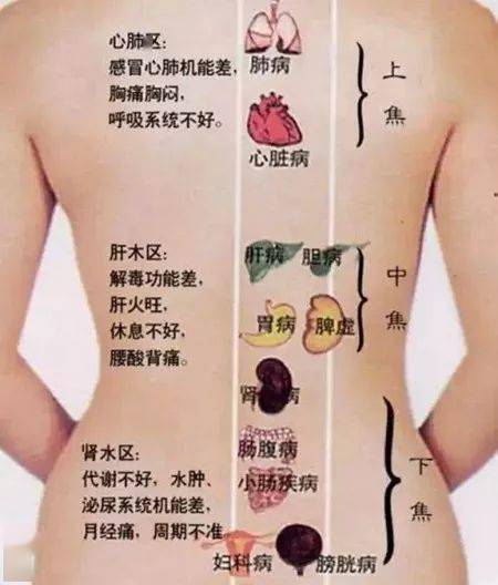 如何把气吸到后背部 cfafad84847247618622a6594ec46a97.jpeg