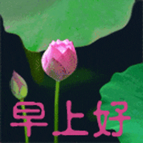 500_500
