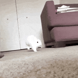  http://p2.itc.cn/q_70/images03/20200615/97633eff94ec41a1b40bc5db6bc9ba79.gif 