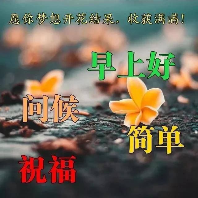 08ed7c48530641caa6246411d80055bb.jpeg