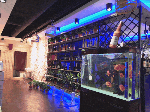 69元享【牛哥辛巴音乐烤肉】价值价值195元豪华烤肉套餐!