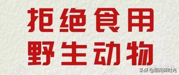 转载｜埃博拉病毒到底有多可怕？「这是一篇科普贴」