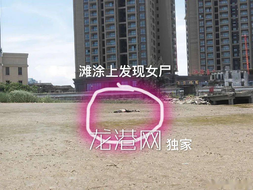 7173a3a5fe5f4072a9df749b906771dc.jpeg