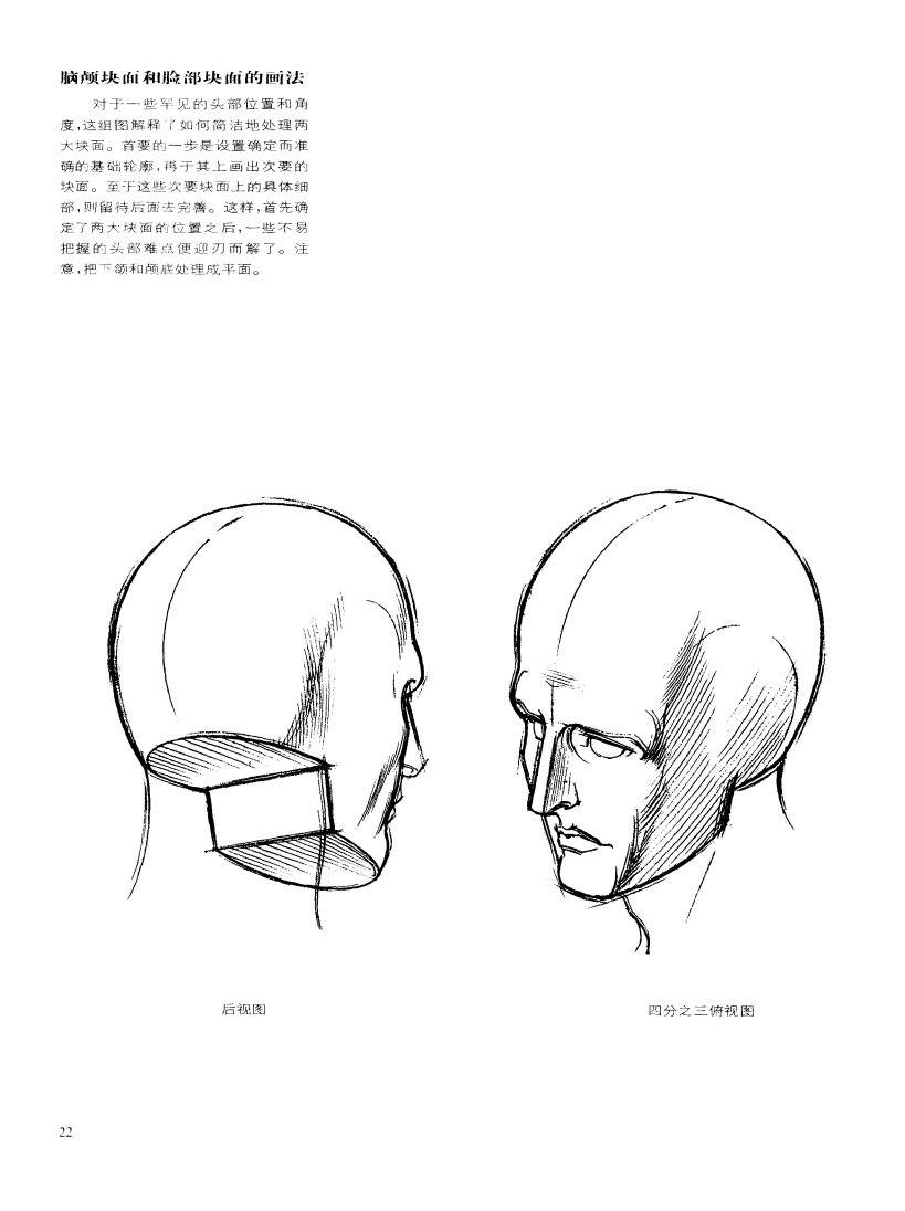 动态素描·头部结构 基本结构和形体 伯恩霍加思