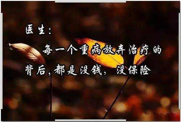 坚持还是放弃将如何选择