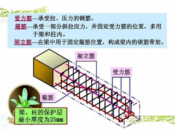 干工程看不懂钢筋配筋图,这太可怕了!