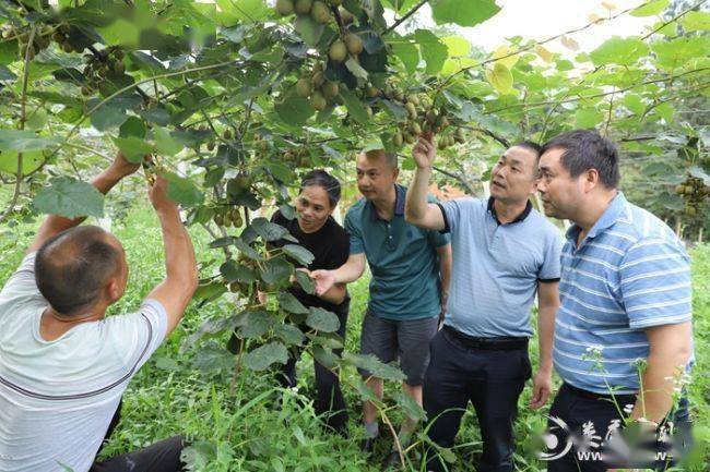 长丰县农业gdp_农业银行图片(2)