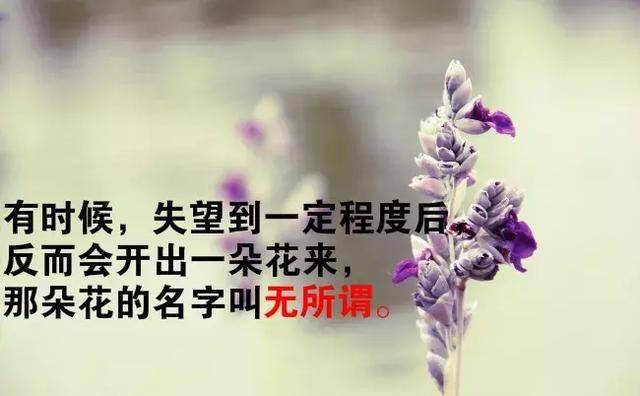 227ed61d0a194d24ae45430cd46108d1.jpeg