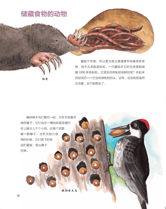 蛇是怎么冬眠的科普 5efe5deb52f84bde9b54448d36ad9569.png