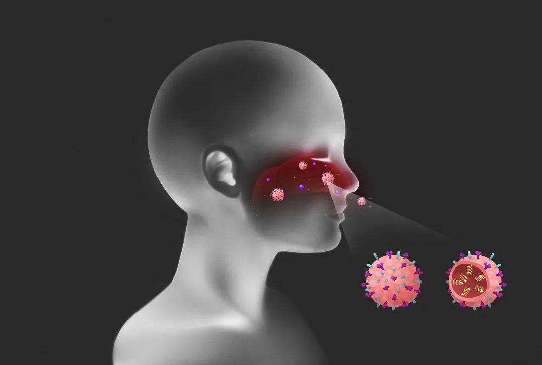 上呼吸道感染:干燥的鼻腔黏膜,减少了病菌从呼吸道进入人体的阻力