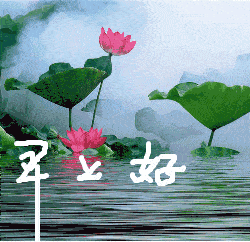 最温暖的早安问候句子 早安的表情短语