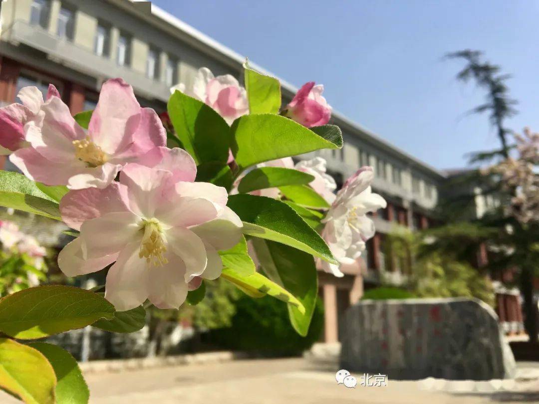 2020怀柔初三期末统_2020怀柔初三上期末试题及答案汇总