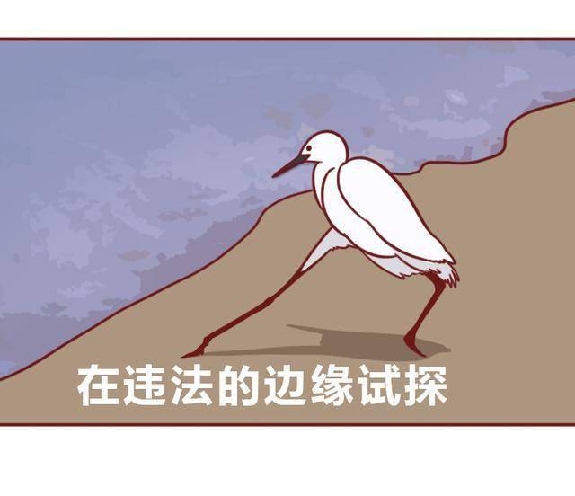 恋爱中的违法行为,你碰到过几条?(情侣必备法律知识漫画版)