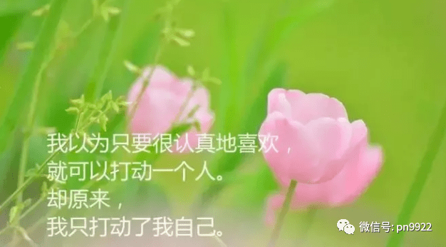 保重简谱_保重身体图片(2)
