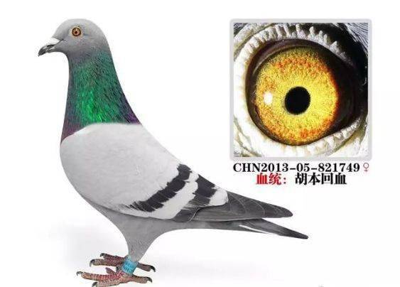 fe51a2af35bf4ece8962a213988deab9.jpeg