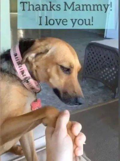 0b86dcdb52544ab59237531dabcd962a.jpeg